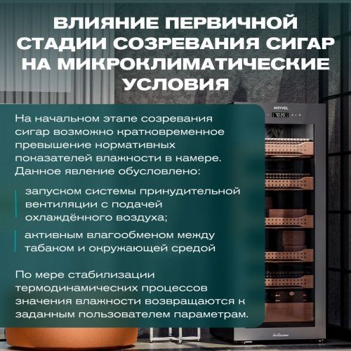 Хьюмидор шкаф Meyvel MC-200BK (PRO) фото 10